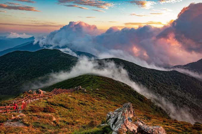 MUJU TRAIL 2026 image